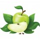 green apples 115309910680lyohgxxxb